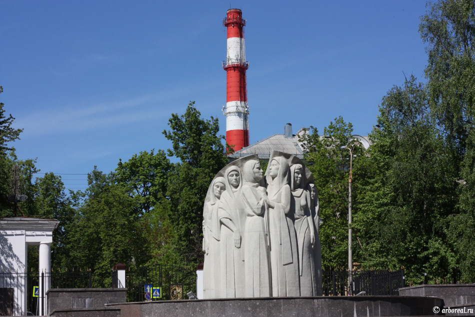  фотографии Мытищинский городской парк