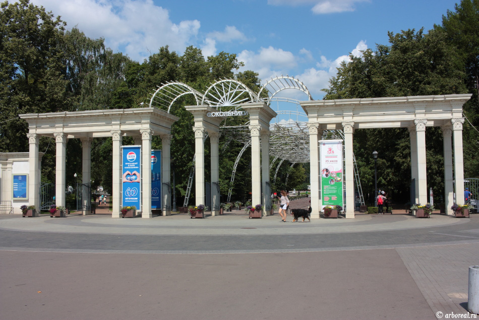 Парк Сокольники Москва