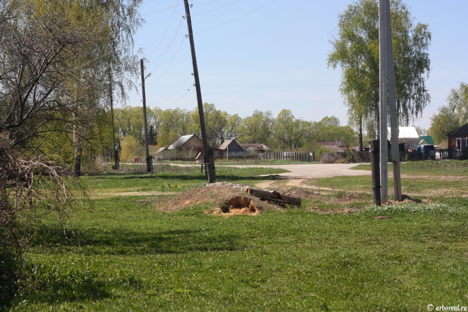 весна в деревне Спасский район Рязанской области