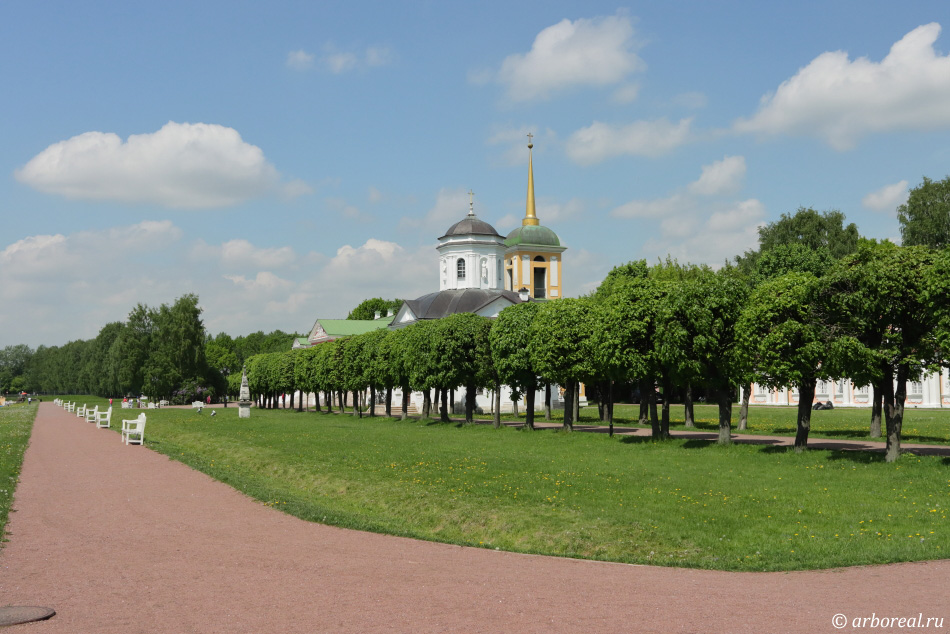 парк кусково