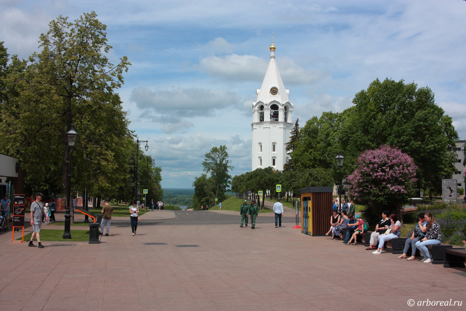 парк кусково